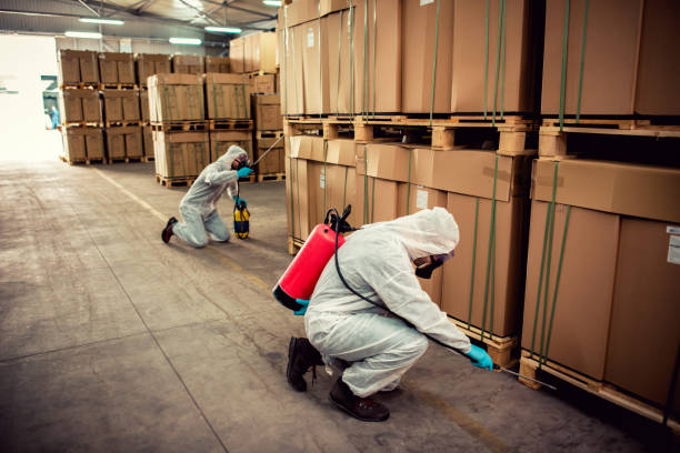 Best Commercial Pest Control Services  in Needville, TX
