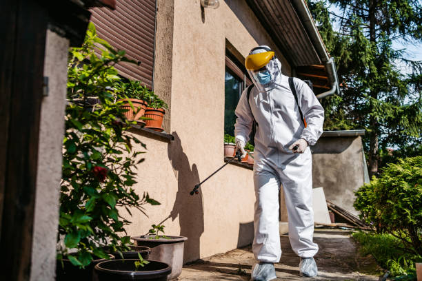 Best Residential Pest Control  in Needville, TX