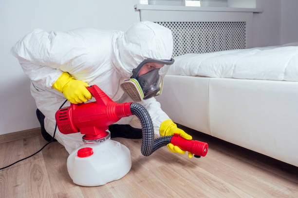 Best Pest Control Near Me in Needville, TX