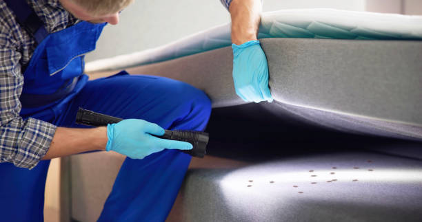 Best Rat Extermination Near Me  in Needville, TX