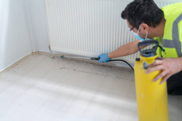 Pest Control for Restaurants in Needville, TX