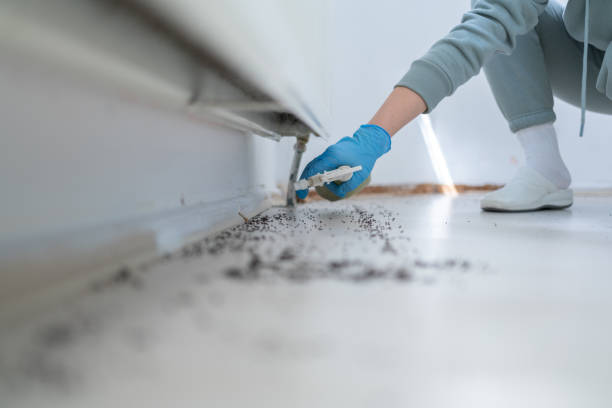 Professional Pest Control in Needville, TX